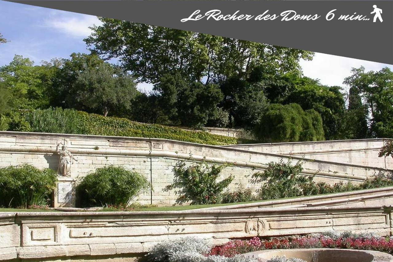 Le Chapeau Rouge Au Coeur Du Centre Historique أفينيون المظهر الخارجي الصورة